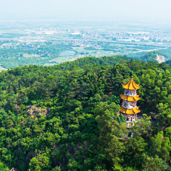 谢岗高纯氦气六氟化硫氩气甲烷液氮液氧液氩氮气